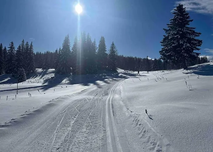 Appmt 4 Pers Aux Pieds Des Pistes