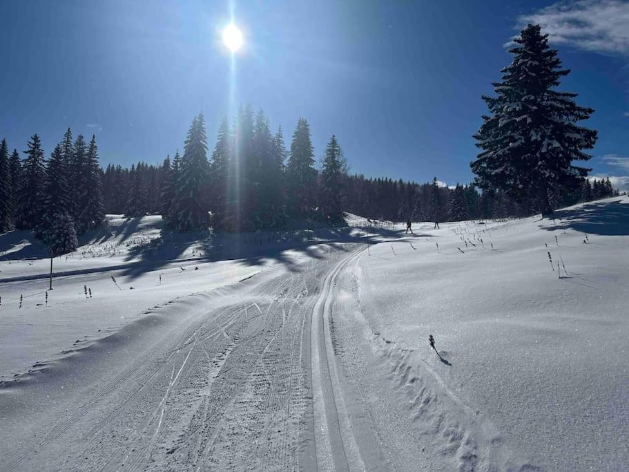 Appmt 4 Pers Aux Pieds Des Pistes Apartment *