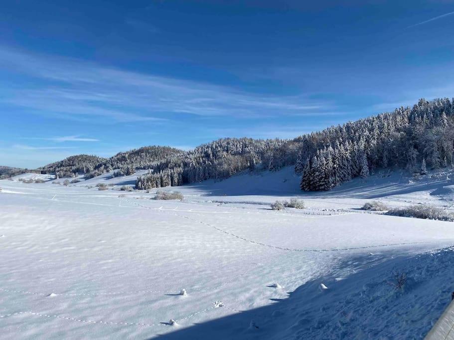 Appmt 4 Pers Aux Pieds Des Pistes Apartment